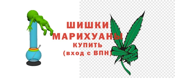 сатива Белоозёрский