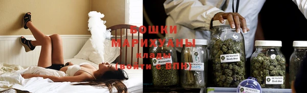 сатива Белоозёрский