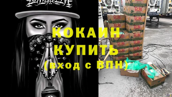 сатива Белоозёрский