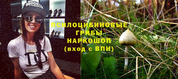 сатива Белоозёрский