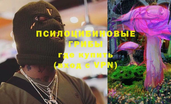 сатива Белоозёрский